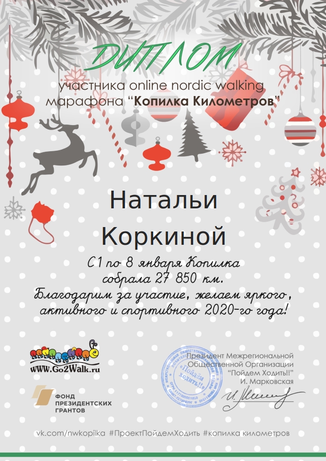  Копилка Километров 2020.jpg